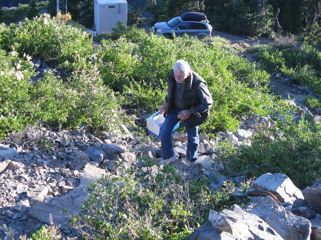 Bolan Mt & Redwoods-109.JPG - Bolan Mt Lookout